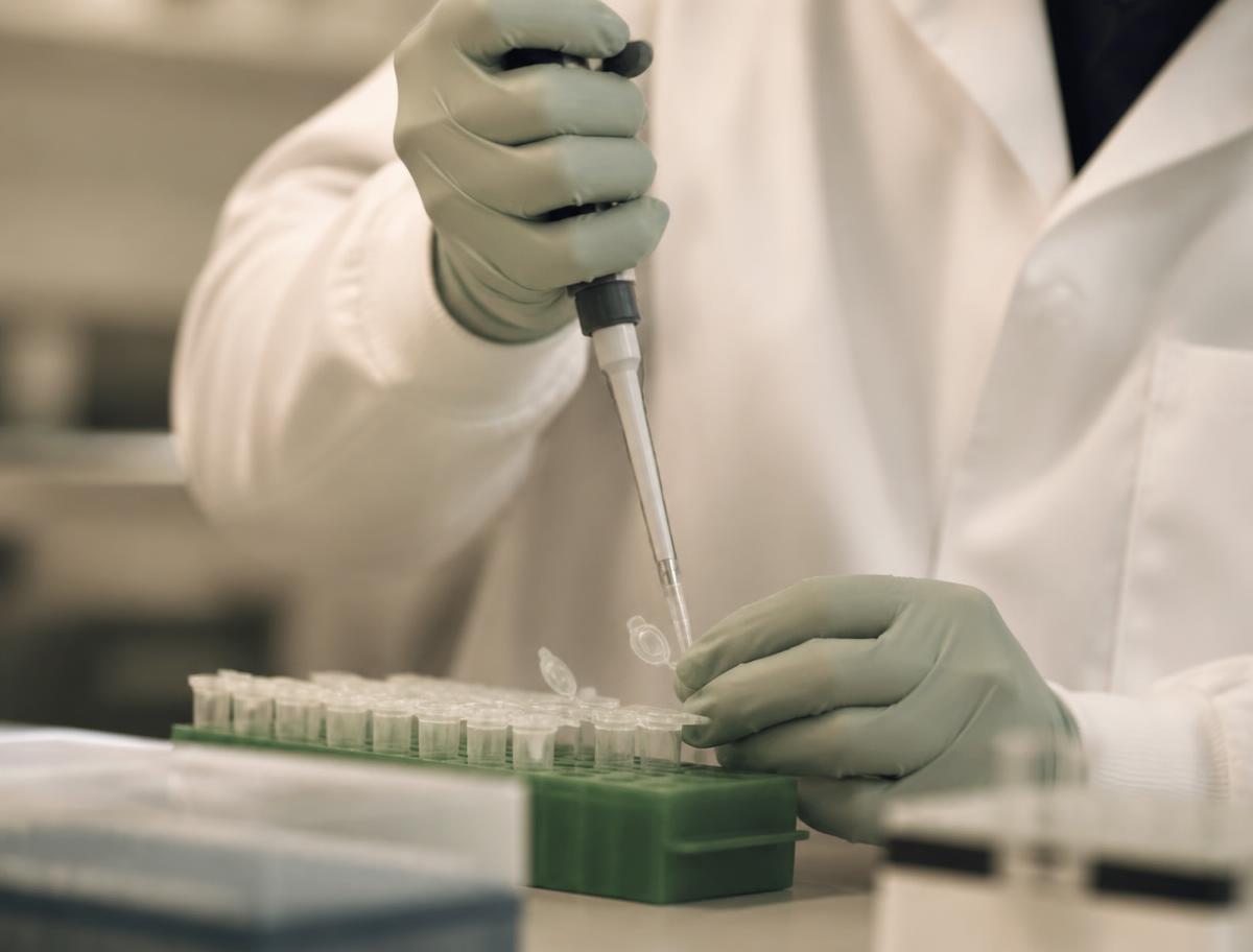 Gloved hands pipetting dog stool samples in the BIOOM sequencing lab
